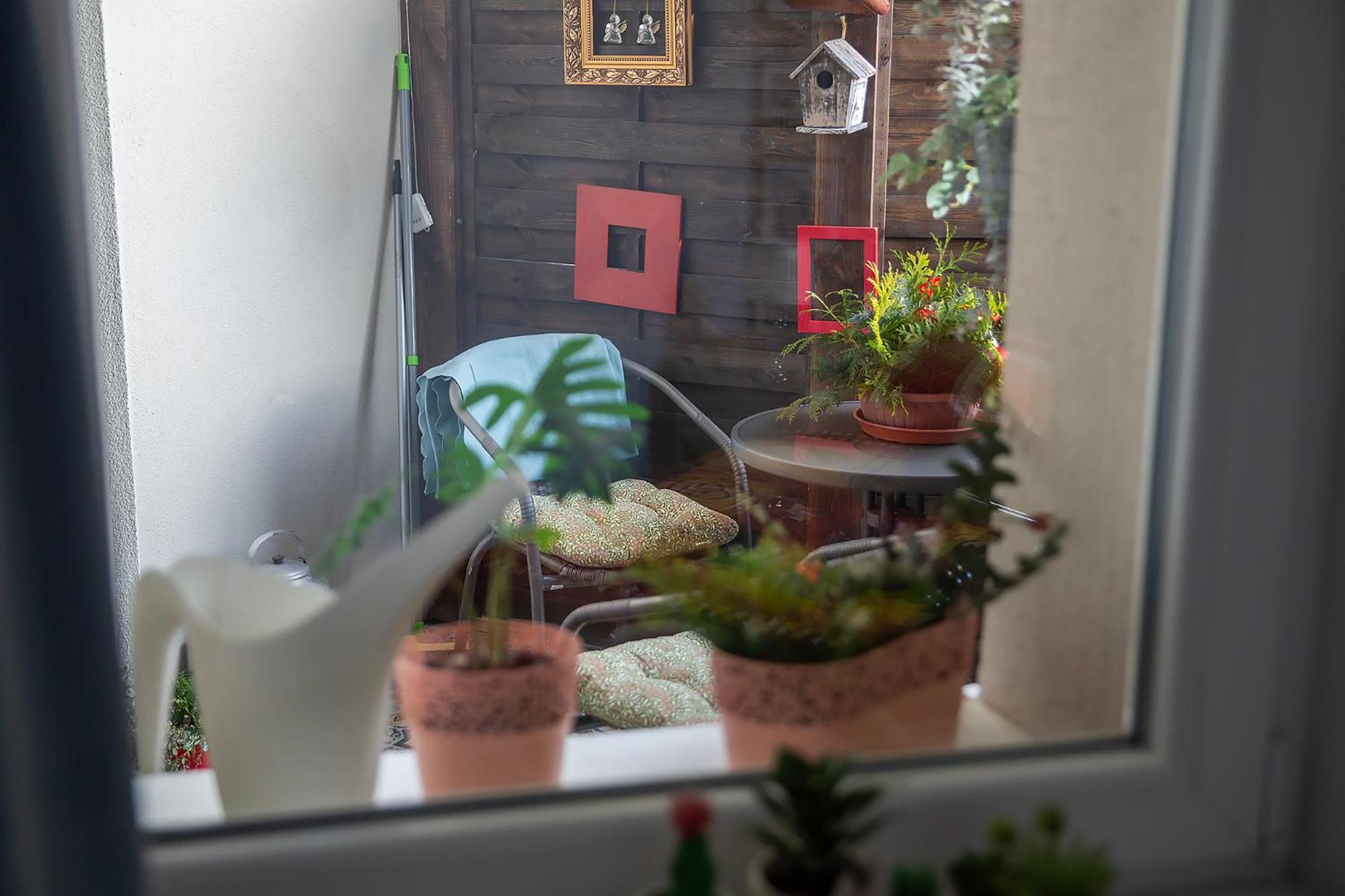 Apartament U Olechny 4 Bydgoszcz Eksteriør bilde